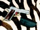 1911 custom2