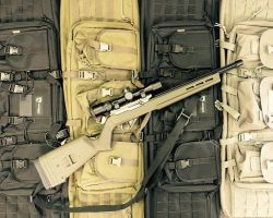 ruger022 hunter