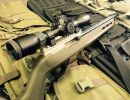 ruger 1022 hunter