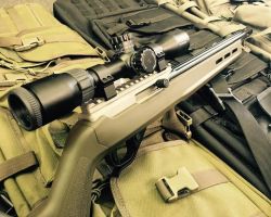 ruger 1022 hunter