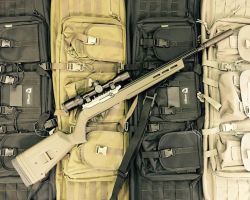 ruger 1022 hunter