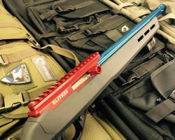 ruger 1022 patriot